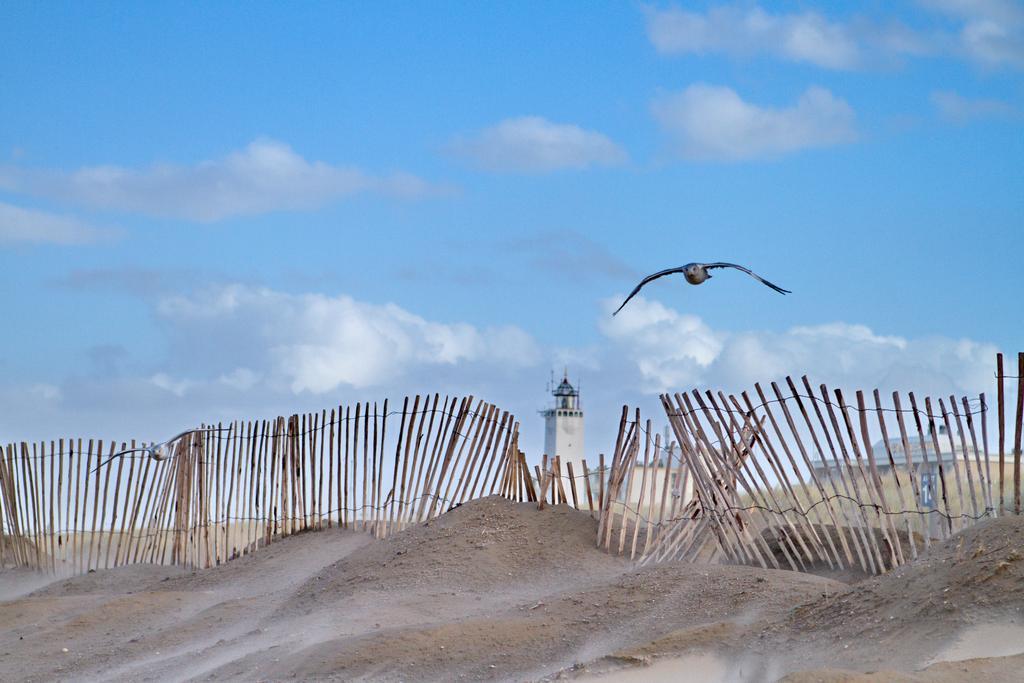 Bed & Breakfast Wit 51 Noordwijk Esterno foto